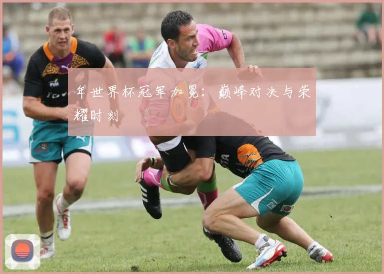年世界杯冠军加冕:巅峰对决与荣耀时刻