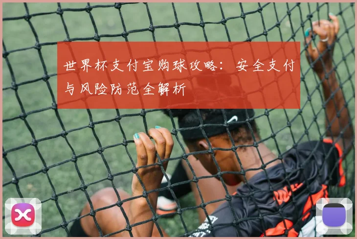 世界杯支付宝购球攻略:安全支付与风险防范全解析