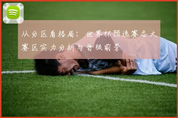 从分区看格局：世界杯预选赛各大赛区实力分析与晋级前景
