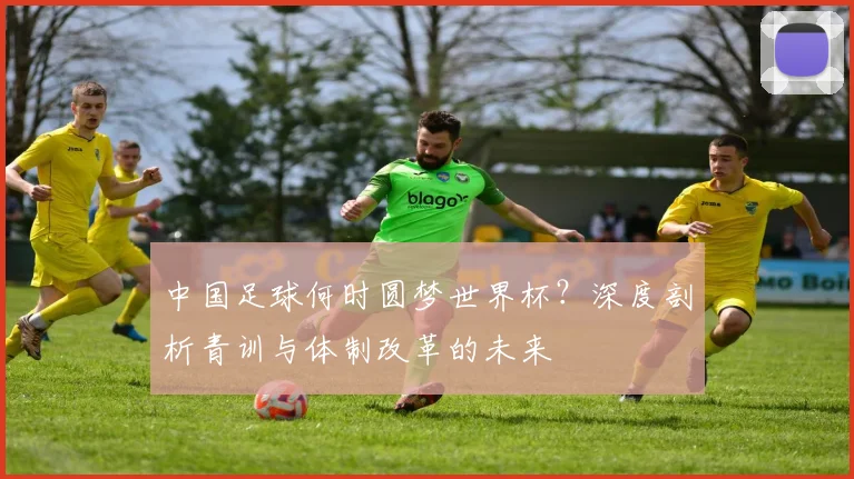 中国足球何时圆梦世界杯?深度剖析青训与体制改革的未来