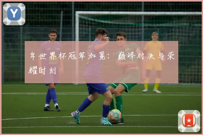 年世界杯冠军加冕:巅峰对决与荣耀时刻