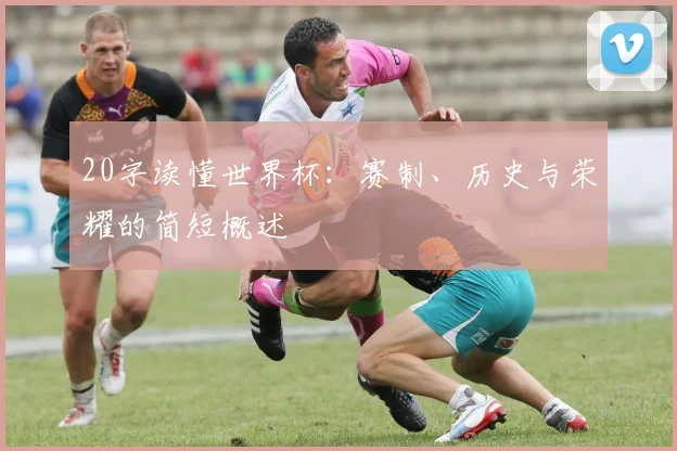 20字读懂世界杯：赛制、历史与荣耀的简短概述
