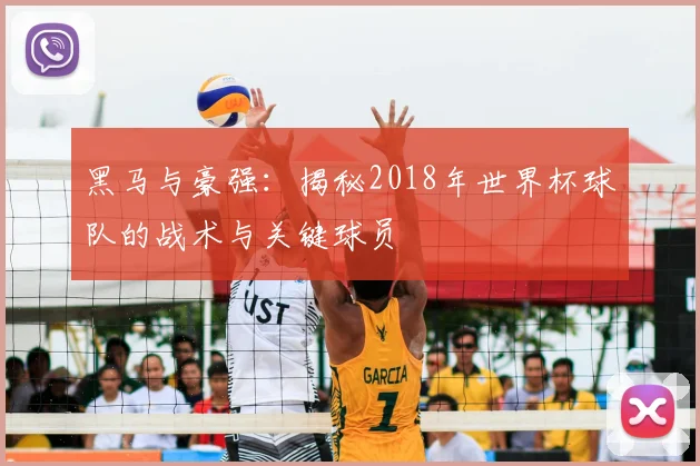 黑马与豪强:揭秘2018年世界杯球队的战术与关键球员