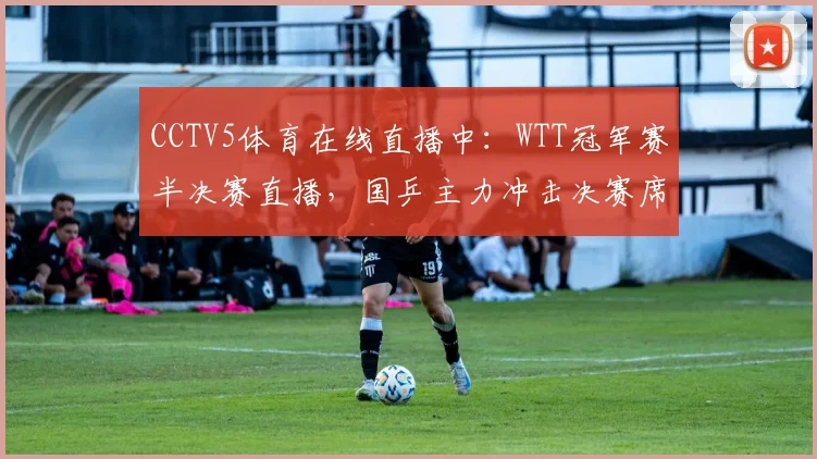 CCTV5体育在线直播中：WTT冠军赛半决赛直播，国乒主力冲击决赛席位