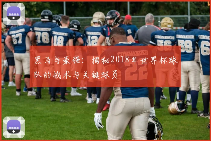 黑马与豪强：揭秘2018年世界杯球队的战术与关键球员
