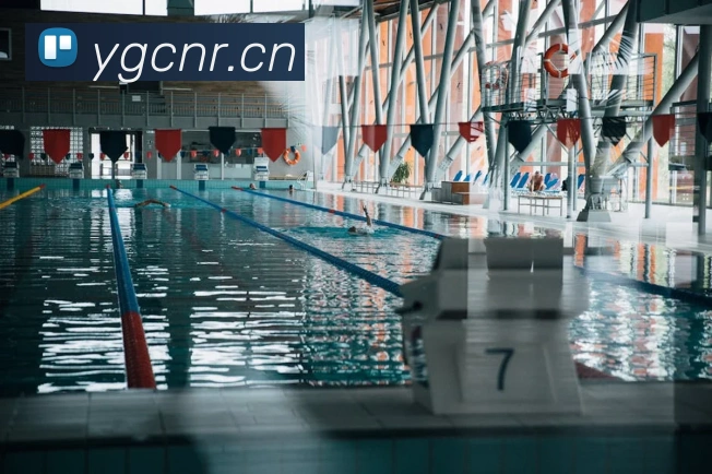 App Interface Preview