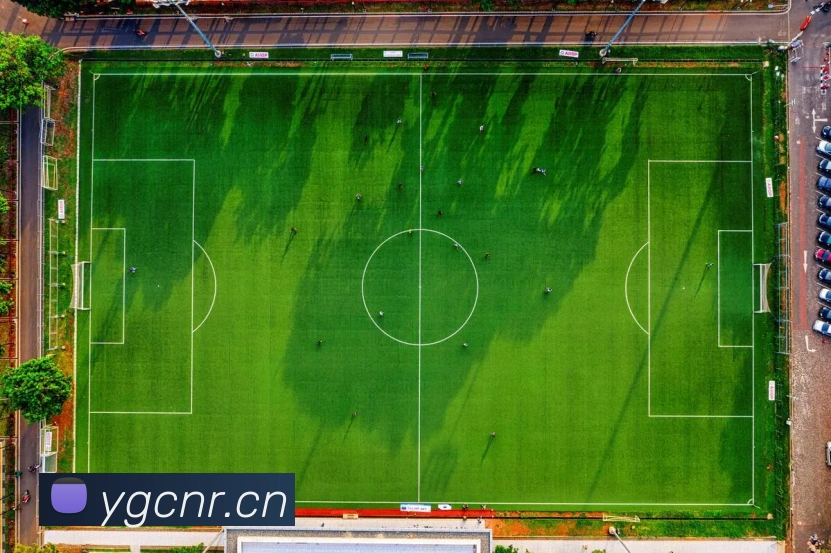 星空网官方登录入口APP 封面图